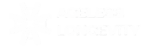 agelesslongevity.com